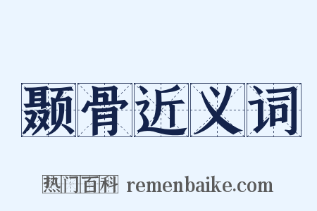 颞骨近义词是什么意思的图片